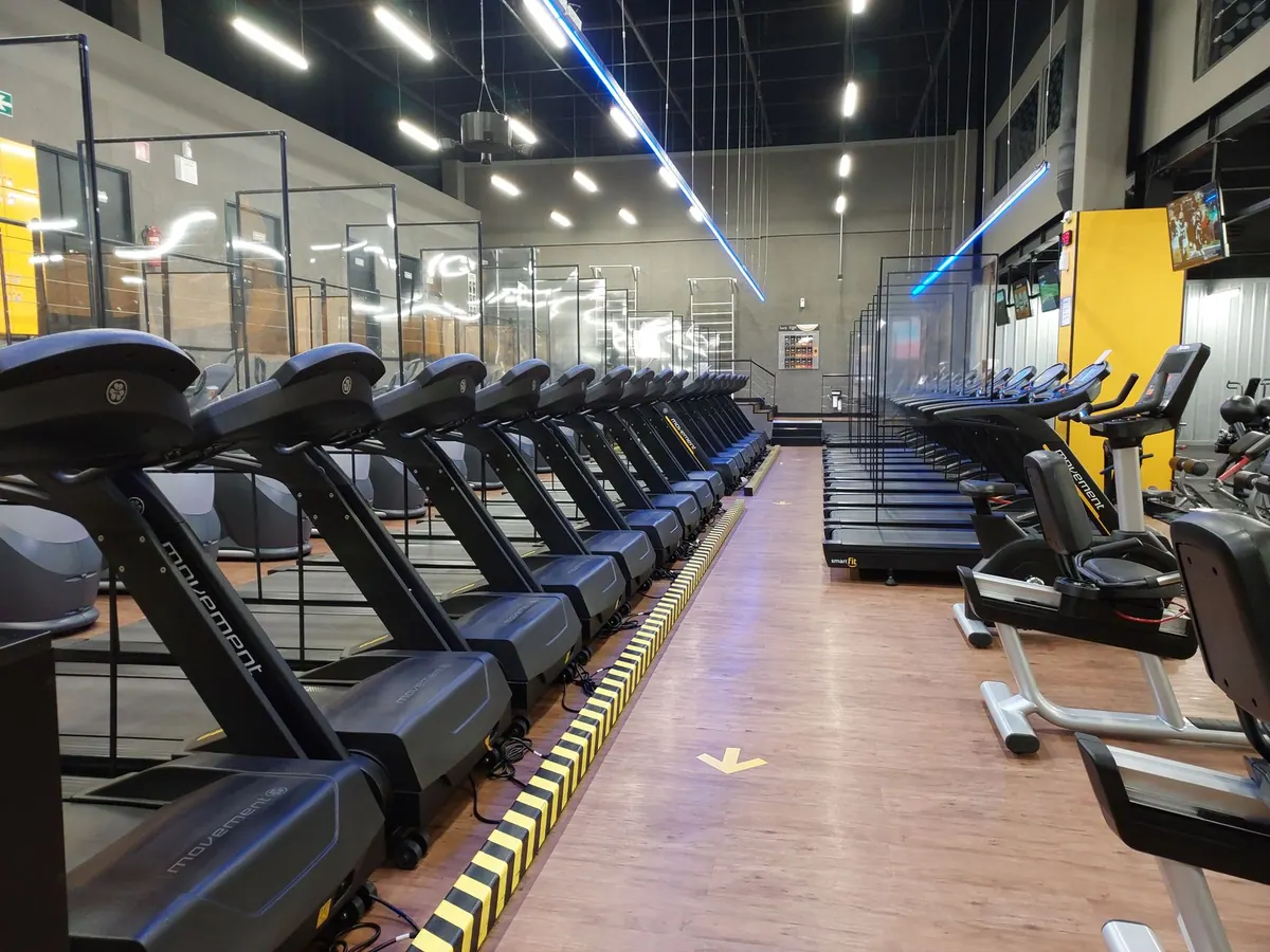 Rangée de tapis de course